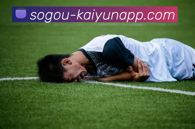 开云体育APP 封面图